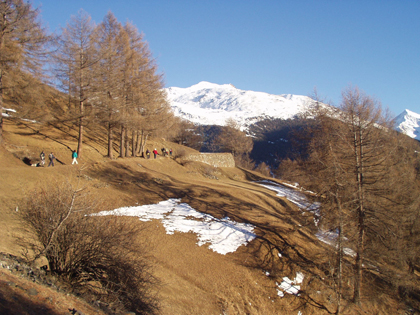 Nel Parco dello Stelvio